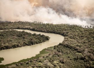 Desastre ecológico en el Pantanal, Brasil.
