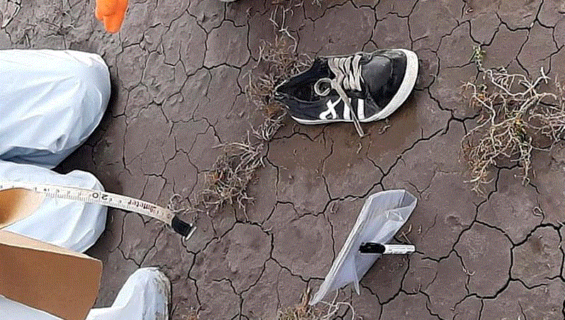 Esta imagen tiene un atributo alt vacío; el nombre del archivo es facundo1.gif