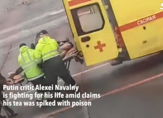 El momento del envenenamiento de Navalny.