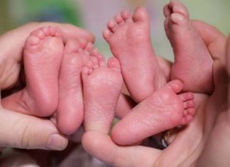 Nacieron trigemelas idénticas en Mar del Plata.