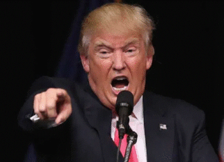 Trump prohibió TikTok en EEUU.