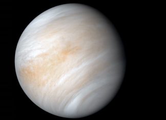 Anuncian que hay posibles indicios de vida en Venus.