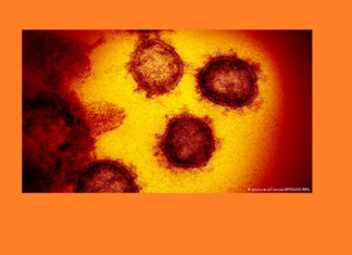 Casi un millón de contagios.