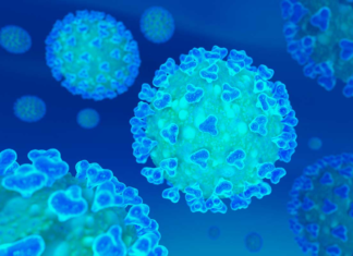 Covid: Argentina es el país con más muertes por millón de habitantes.