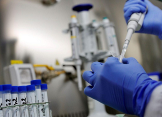 Dicen que la vacuna de Oxford genera respuesta inmune en ancianos y jóvenes.