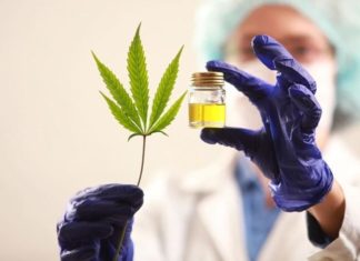 El Gobierno legalizó el autocultivo para uso medicinal.