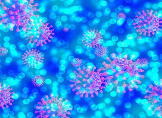 Neuropilina, la fuerza de choque del coronavirus.