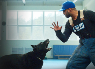 Netflix: para aprender a educar a nuestras mascotas.