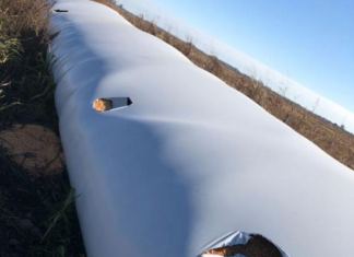 Más ataques a silobolsas.