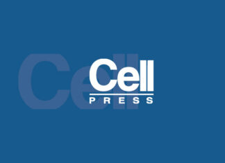 Rusia utilizó un estudio científico argentino para explicar la efectividad de una sola dosis de Sputnik.