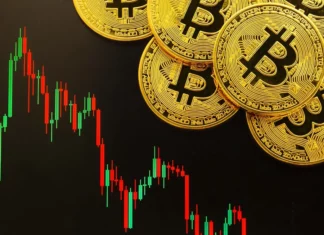 Criptomonedas en pánico: se esfumaron u$s 100.000 millones.