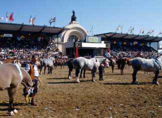 Tras dos años de ausencia, vuelve la fiesta del campo en la ciudad