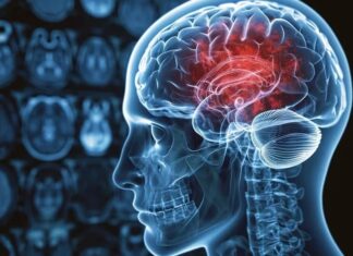 Ejercicios que ayudan a mejorar la memoria y agudeza del cerebro